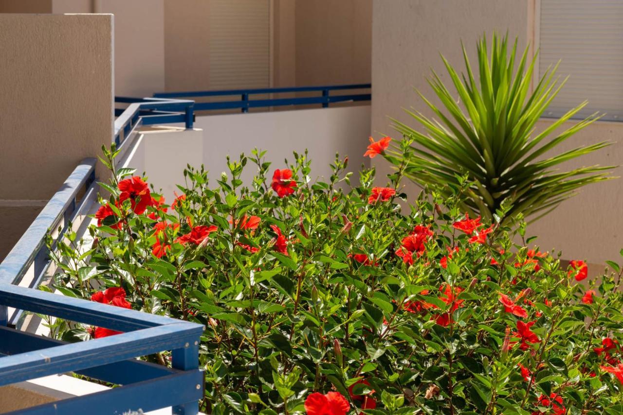 הרקליון Marie Κelly Apartments מראה חיצוני תמונה